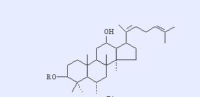 人参皂苷Rh3