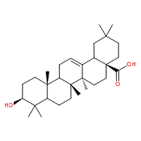 齐墩果酸