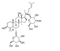 人参皂苷Rg1