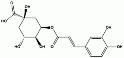 新绿原酸，5-咖啡酰奎宁酸