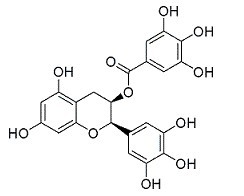 表没食子儿茶素没食子酸酯EGCG