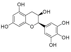 表没食子儿茶素EGC
