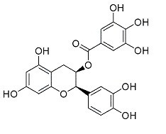 表儿茶素没食子酸酯ECG