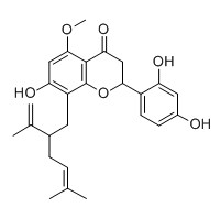 苦参酮