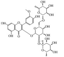 香蒲新苷
